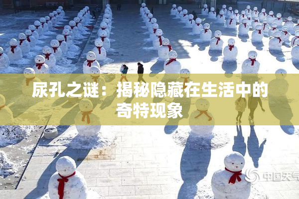 尿孔之谜：揭秘隐藏在生活中的奇特现象