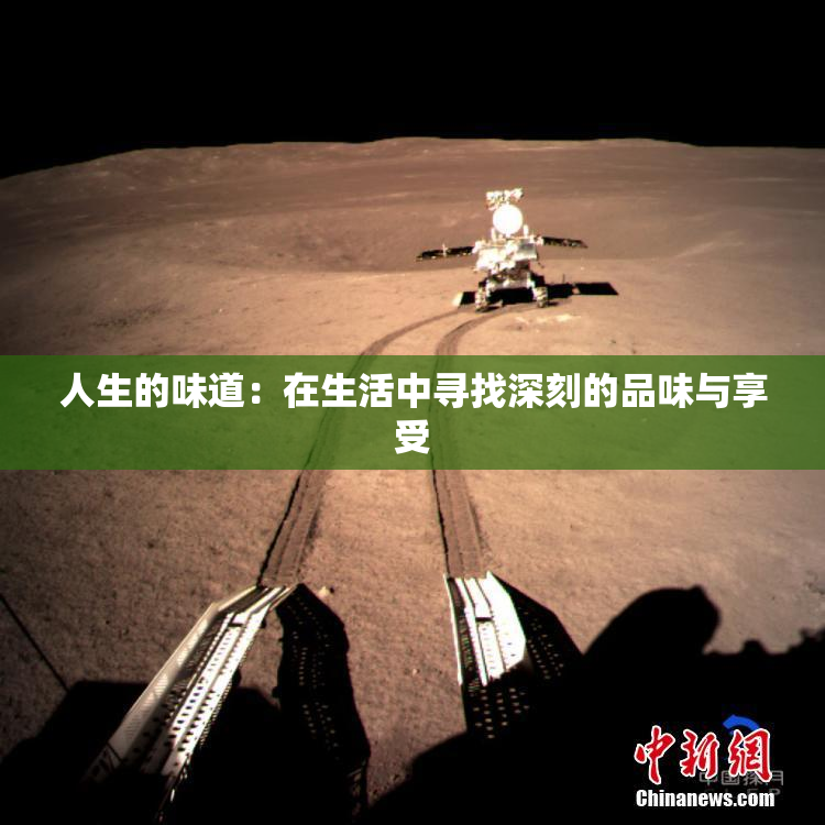 人生的味道：在生活中寻找深刻的品味与享受