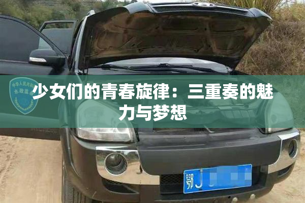少女们的青春旋律：三重奏的魅力与梦想