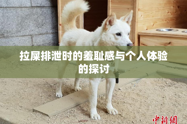 拉屎排泄时的羞耻感与个人体验的探讨