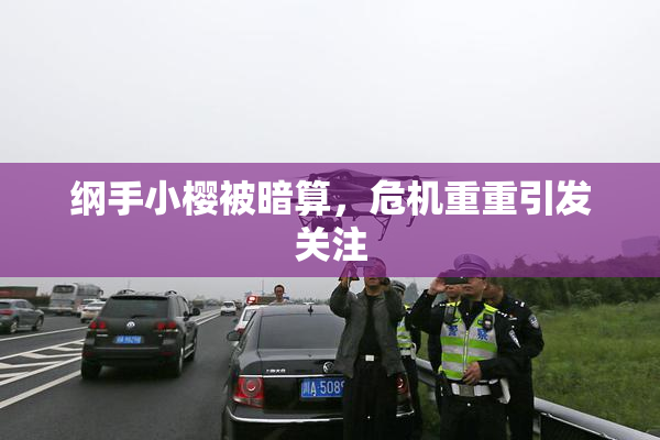 纲手小樱被暗算，危机重重引发关注
