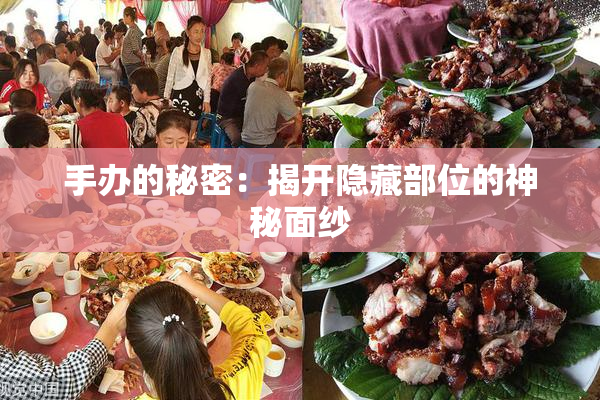 手办的秘密：揭开隐藏部位的神秘面纱