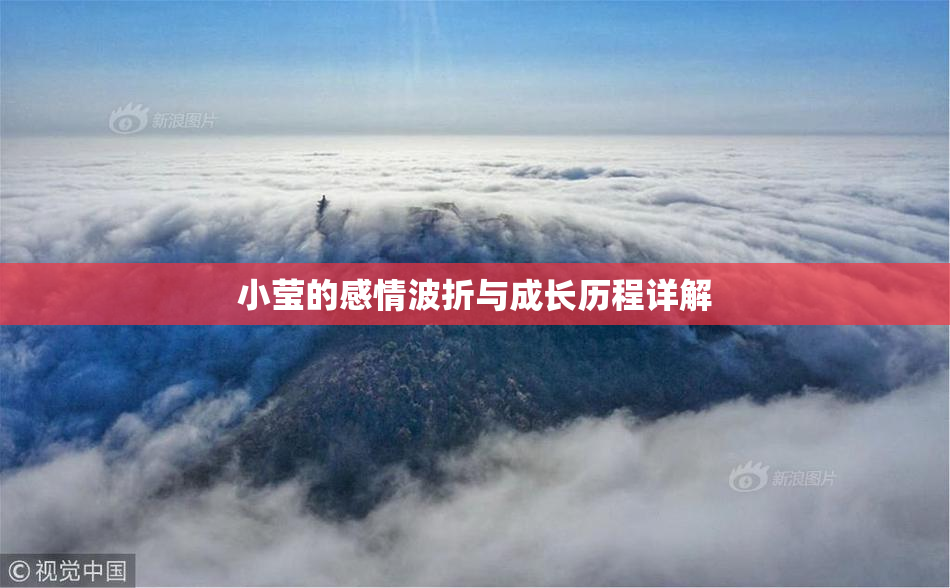 小莹的感情波折与成长历程详解
