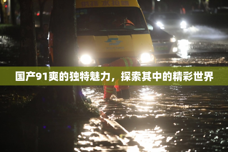 国产91爽的独特魅力，探索其中的精彩世界