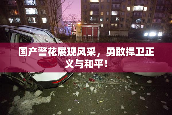 国产警花展现风采，勇敢捍卫正义与和平！