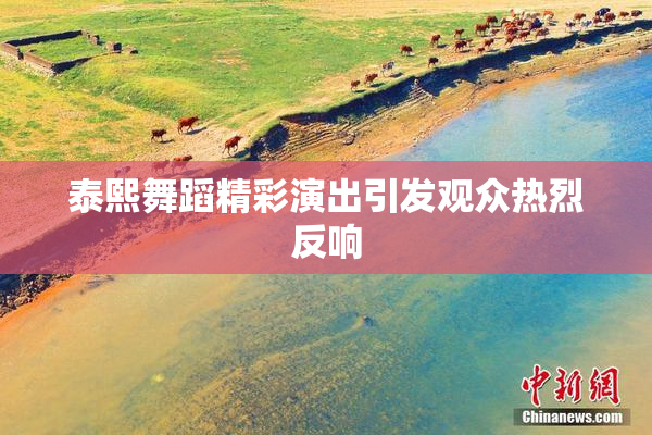 泰熙舞蹈精彩演出引发观众热烈反响
