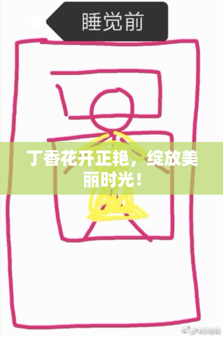 丁香花开正艳，绽放美丽时光！