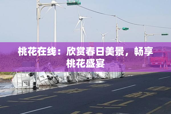 桃花在线：欣赏春日美景，畅享桃花盛宴