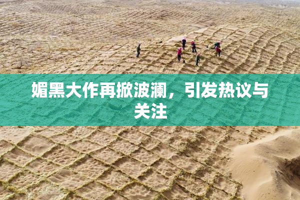 媚黑大作再掀波澜，引发热议与关注