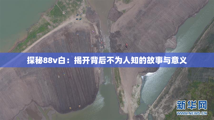 探秘88v白：揭开背后不为人知的故事与意义