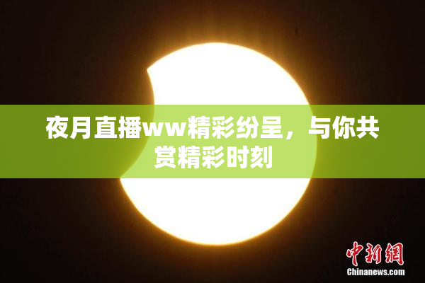 夜月直播ww精彩纷呈，与你共赏精彩时刻