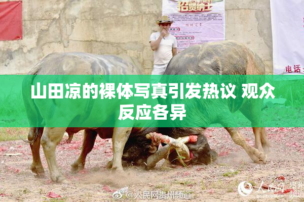 山田凉的裸体写真引发热议 观众反应各异