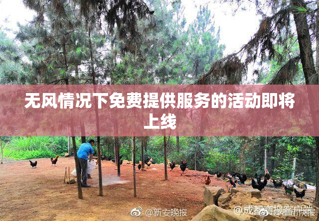 无风情况下免费提供服务的活动即将上线