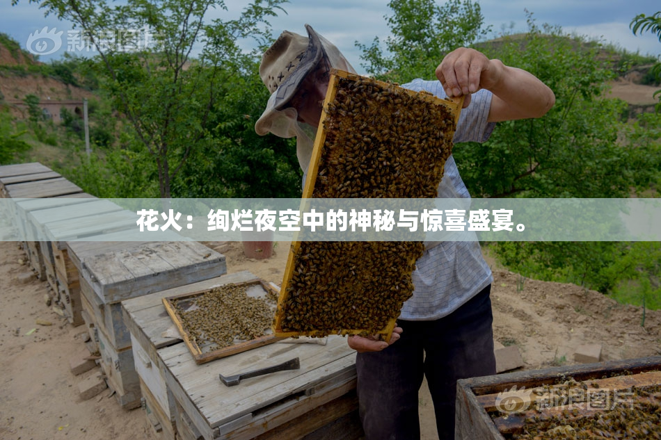 花火：绚烂夜空中的神秘与惊喜盛宴。