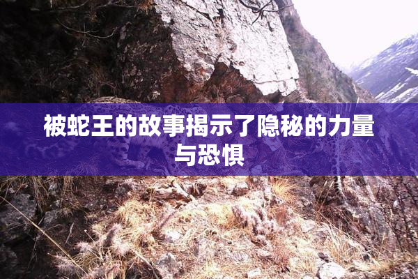 被蛇王的故事揭示了隐秘的力量与恐惧