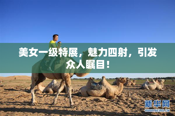 美女一级特展，魅力四射，引发众人瞩目！