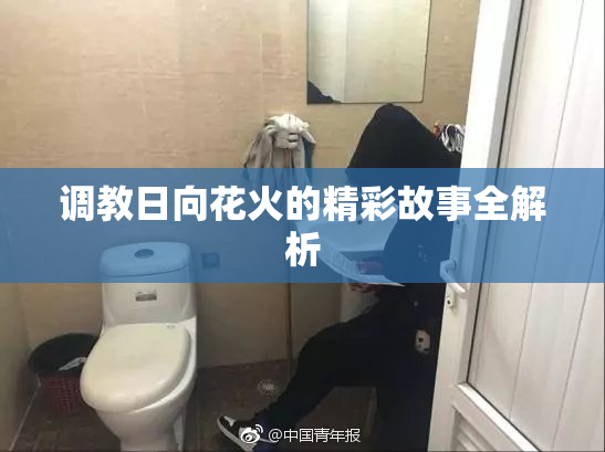 调教日向花火的精彩故事全解析