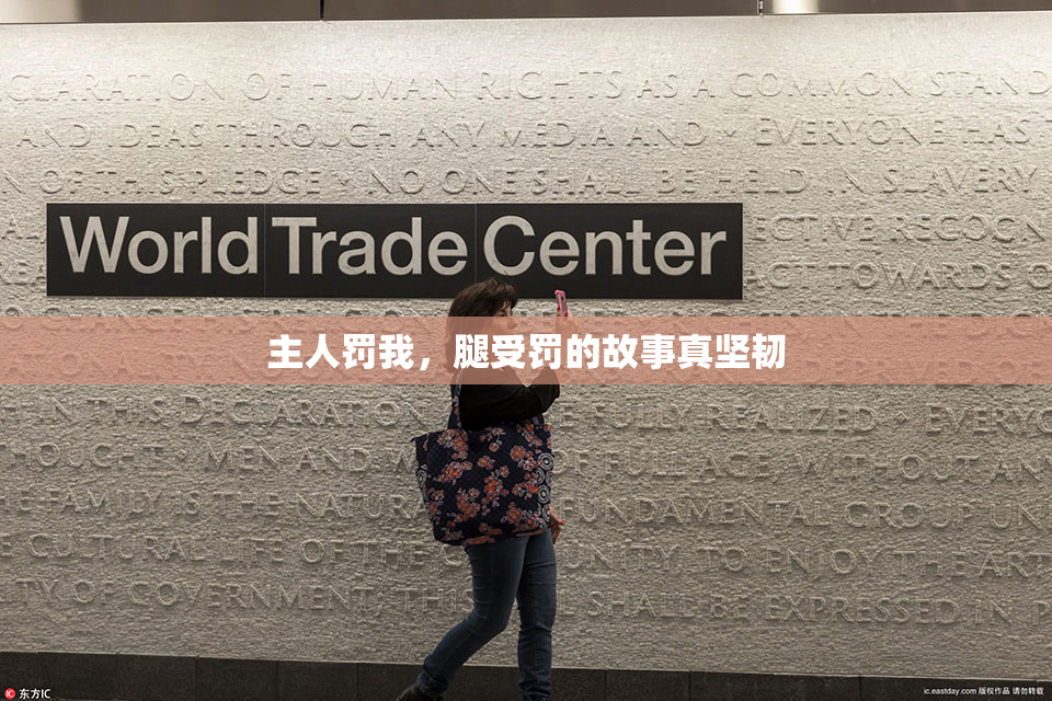 主人罚我，腿受罚的故事真坚韧