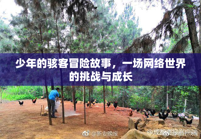 少年的骇客冒险故事，一场网络世界的挑战与成长