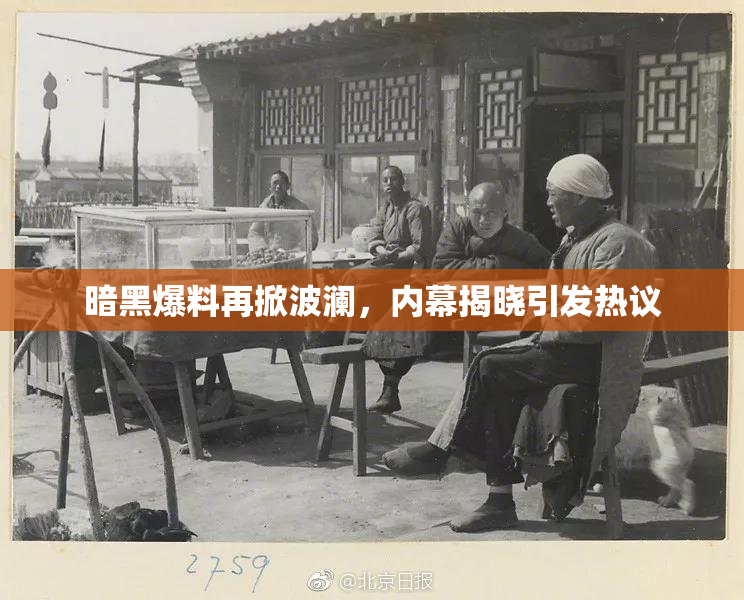 暗黑爆料再掀波澜，内幕揭晓引发热议