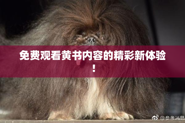 免费观看黄书内容的精彩新体验！