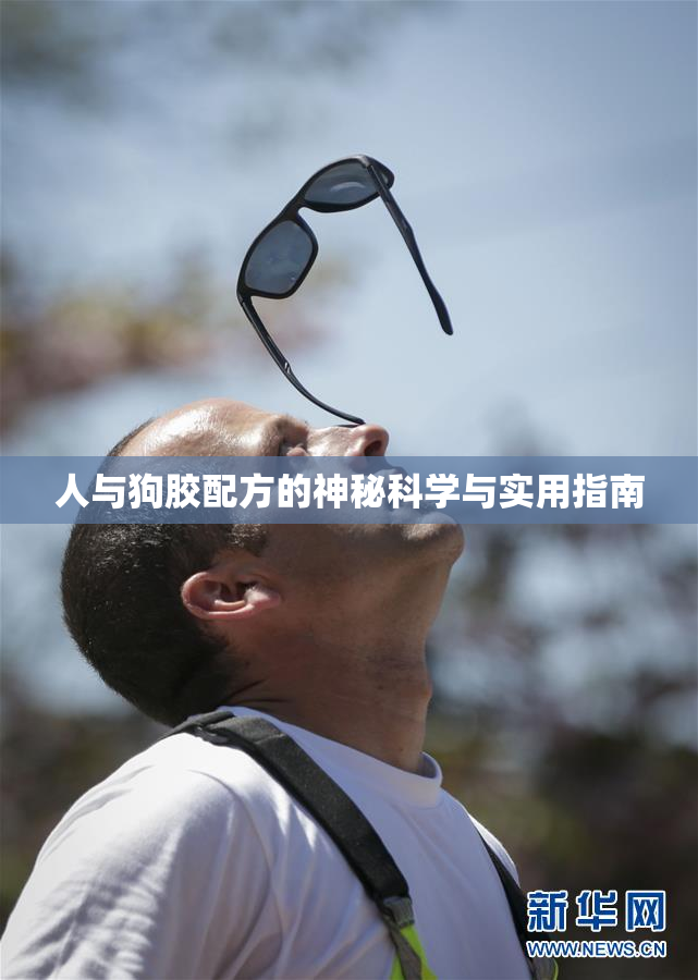 人与狗胶配方的神秘科学与实用指南