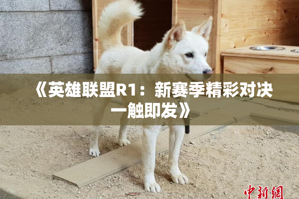 《英雄联盟R1：新赛季精彩对决一触即发》