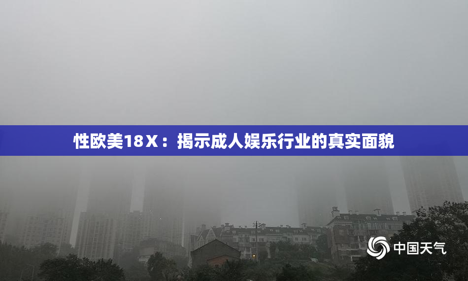 性欧美18Ⅹ：揭示成人娱乐行业的真实面貌