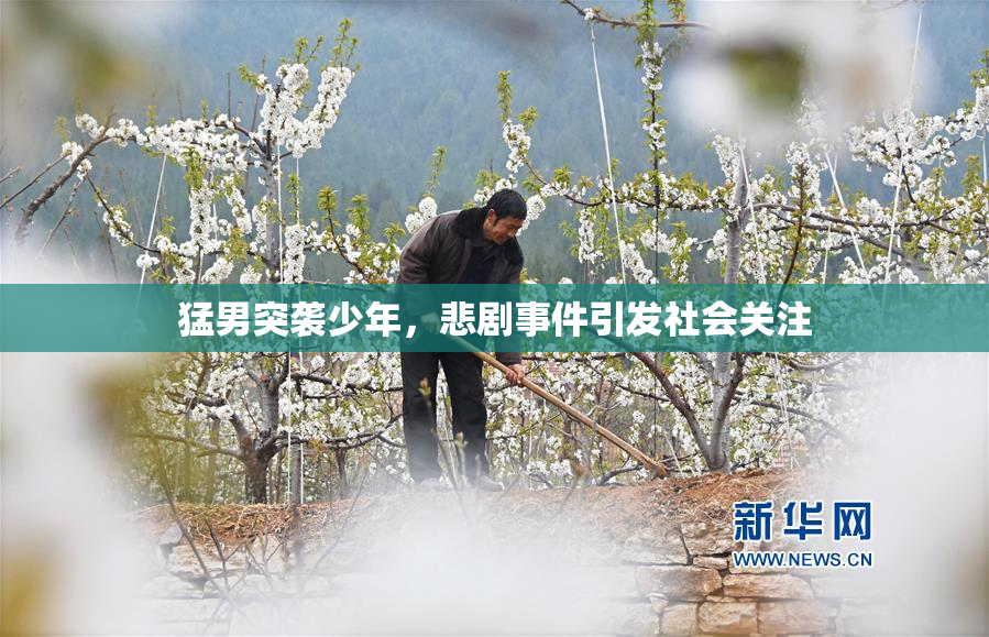 猛男突袭少年，悲剧事件引发社会关注