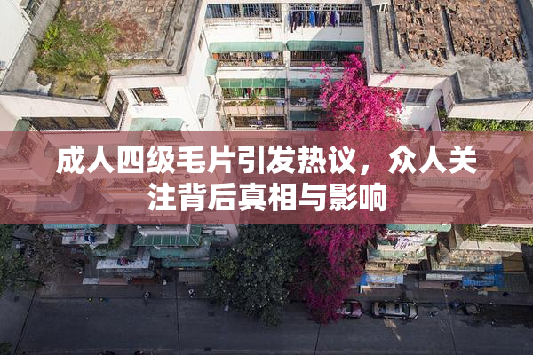 成人四级毛片引发热议，众人关注背后真相与影响