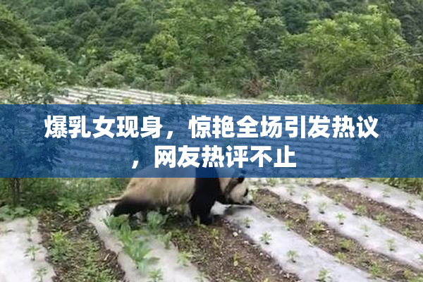 爆乳女现身，惊艳全场引发热议，网友热评不止