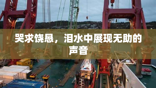 哭求饶恳，泪水中展现无助的声音