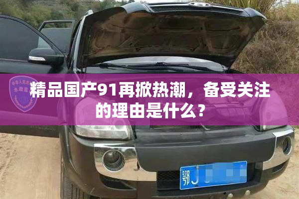 精品国产91再掀热潮，备受关注的理由是什么？