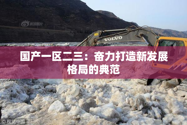 国产一区二三：奋力打造新发展格局的典范