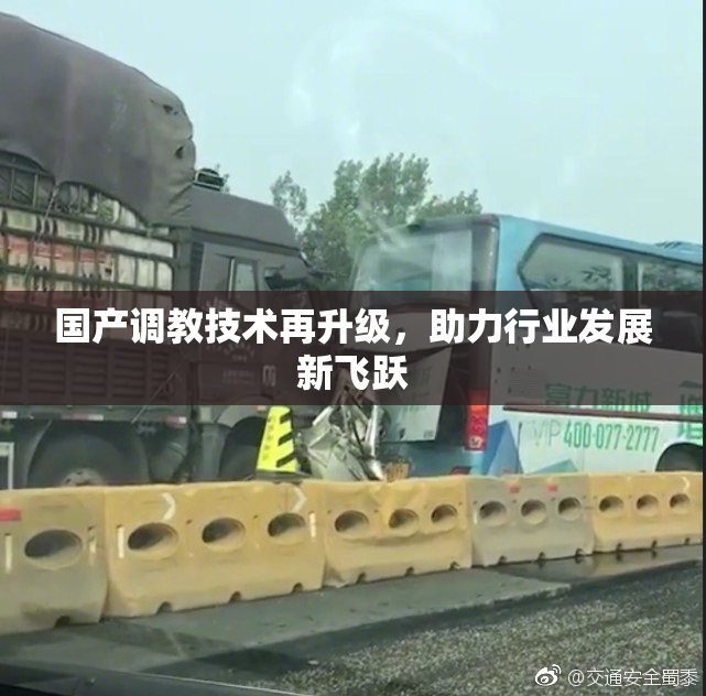 国产调教技术再升级，助力行业发展新飞跃
