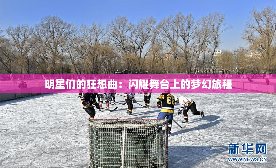 明星们的狂想曲：闪耀舞台上的梦幻旅程