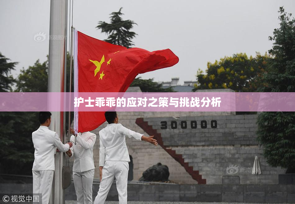 护士乖乖的应对之策与挑战分析