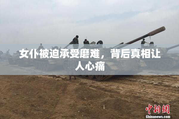 女仆被迫承受磨难，背后真相让人心痛