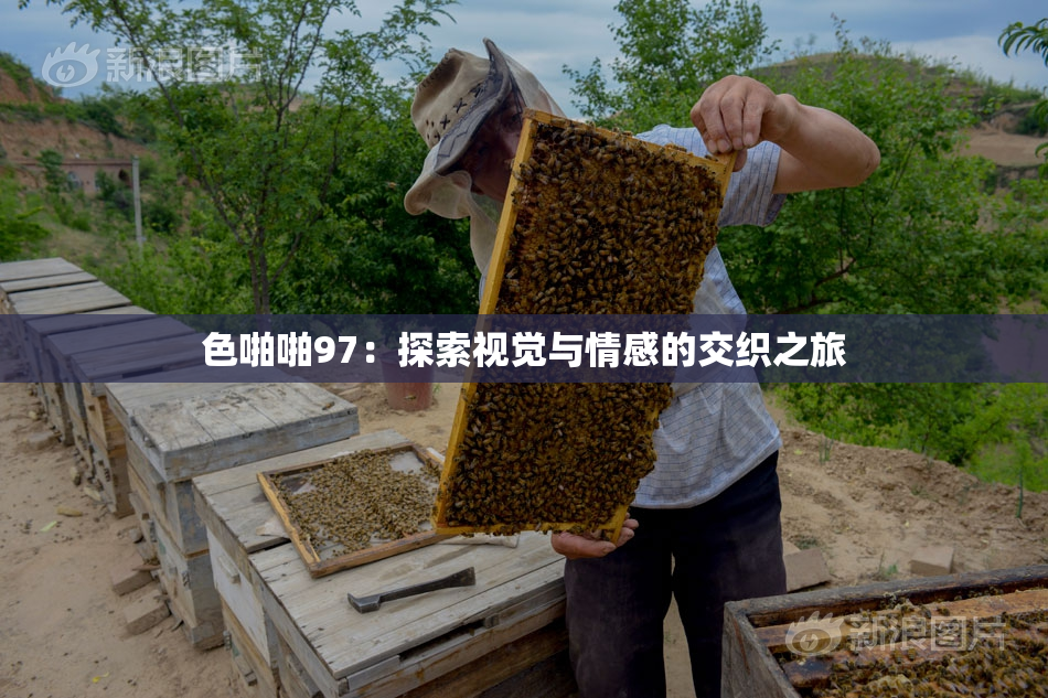 色啪啪97：探索视觉与情感的交织之旅