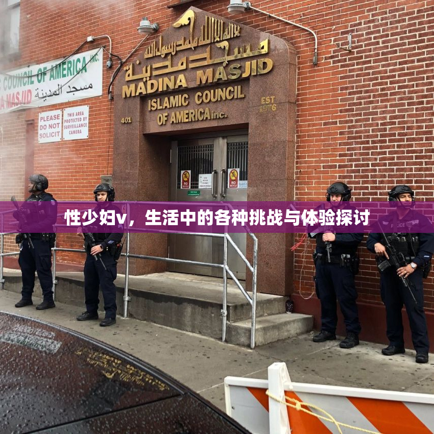性少妇v，生活中的各种挑战与体验探讨