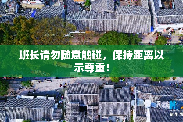 班长请勿随意触碰，保持距离以示尊重！