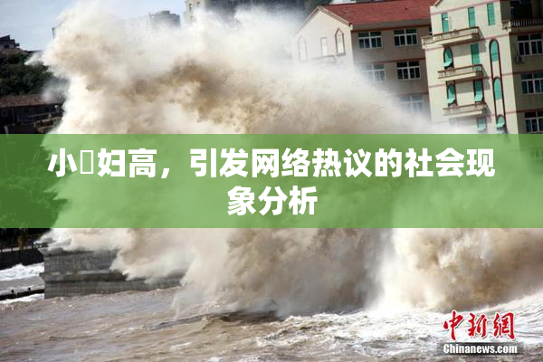 小婬妇高，引发网络热议的社会现象分析