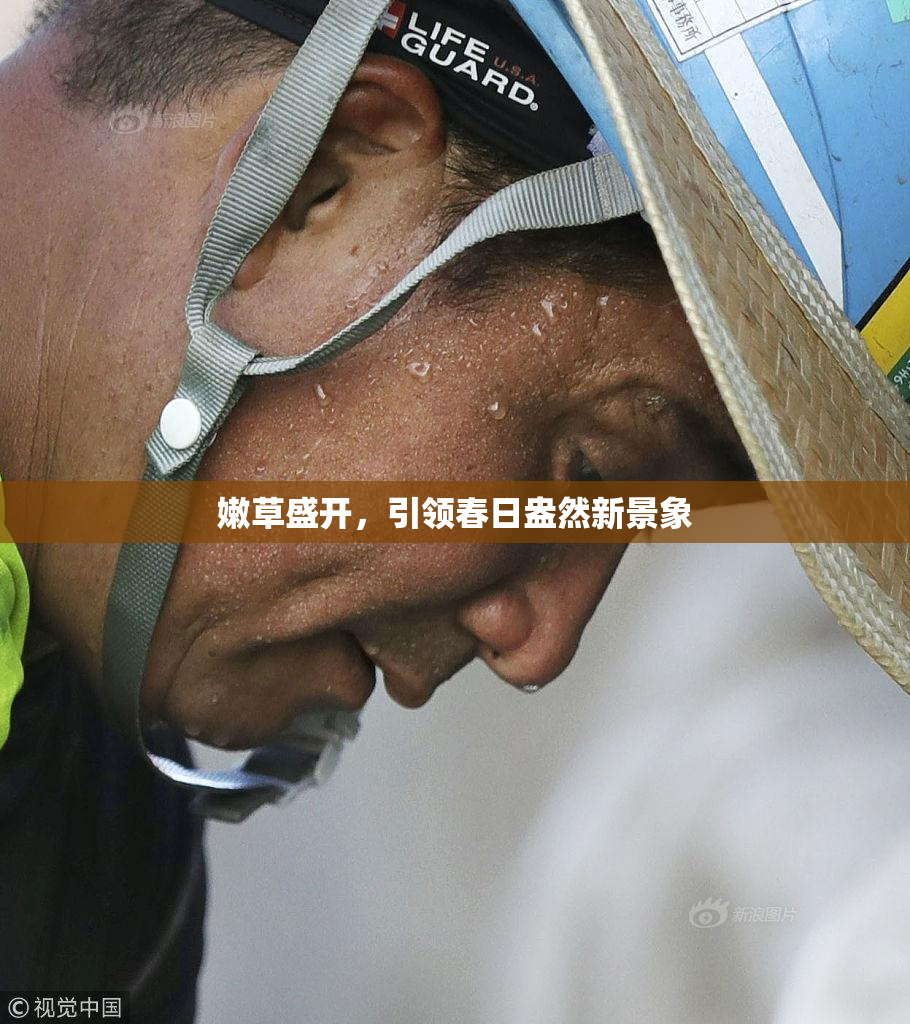 嫩草盛开，引领春日盎然新景象