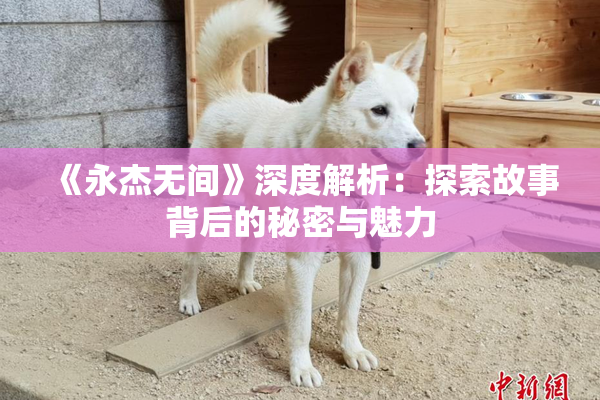 《永杰无间》深度解析：探索故事背后的秘密与魅力