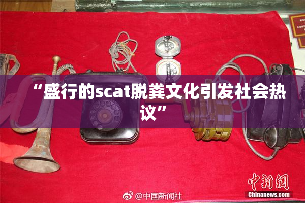 “盛行的scat脱粪文化引发社会热议”
