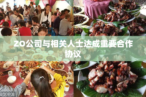 ZO公司与相关人士达成重要合作协议