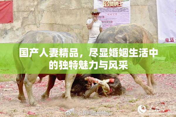 国产人妻精品，尽显婚姻生活中的独特魅力与风采