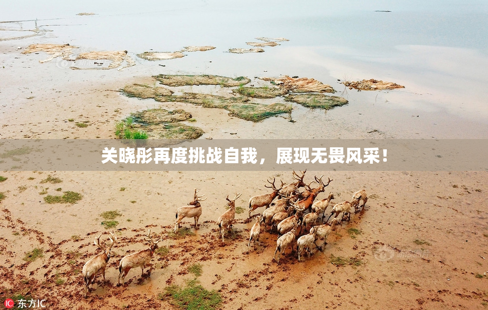 关晓彤再度挑战自我，展现无畏风采！