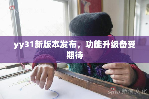 yy31新版本发布，功能升级备受期待