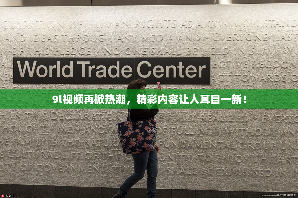 9l视频再掀热潮，精彩内容让人耳目一新！
